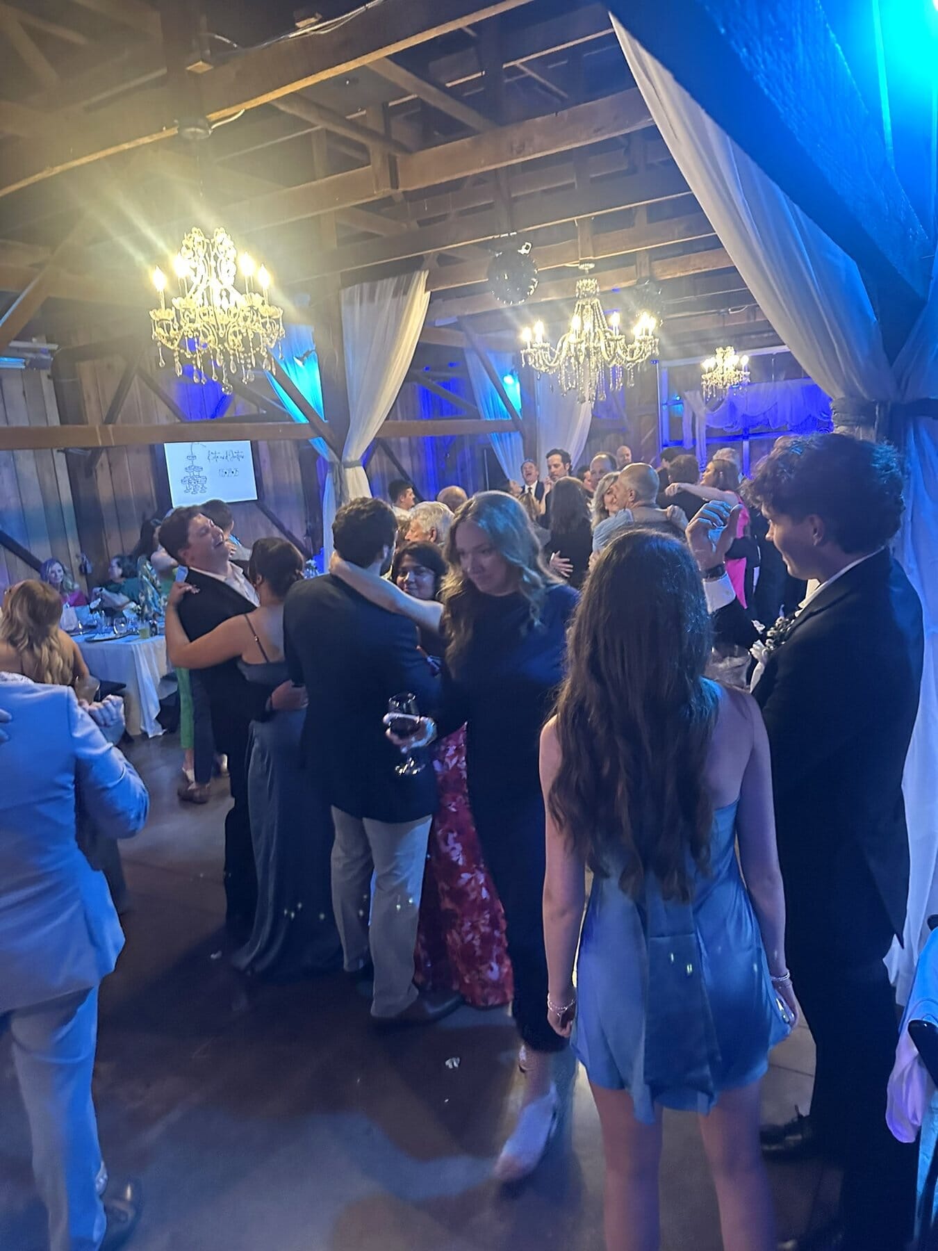 Home 6 High-Energy Wedding Reception Crowd